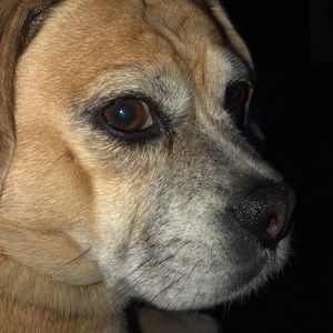 Meet your Posher, Lori